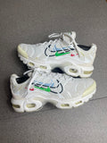 Air Max Plus Multi Swoosh Aluminum (38)