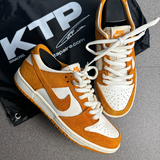 Nike Dunk Circuit Orange