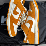 Nike Dunk Circuit Orange