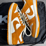 Nike Dunk Circuit Orange