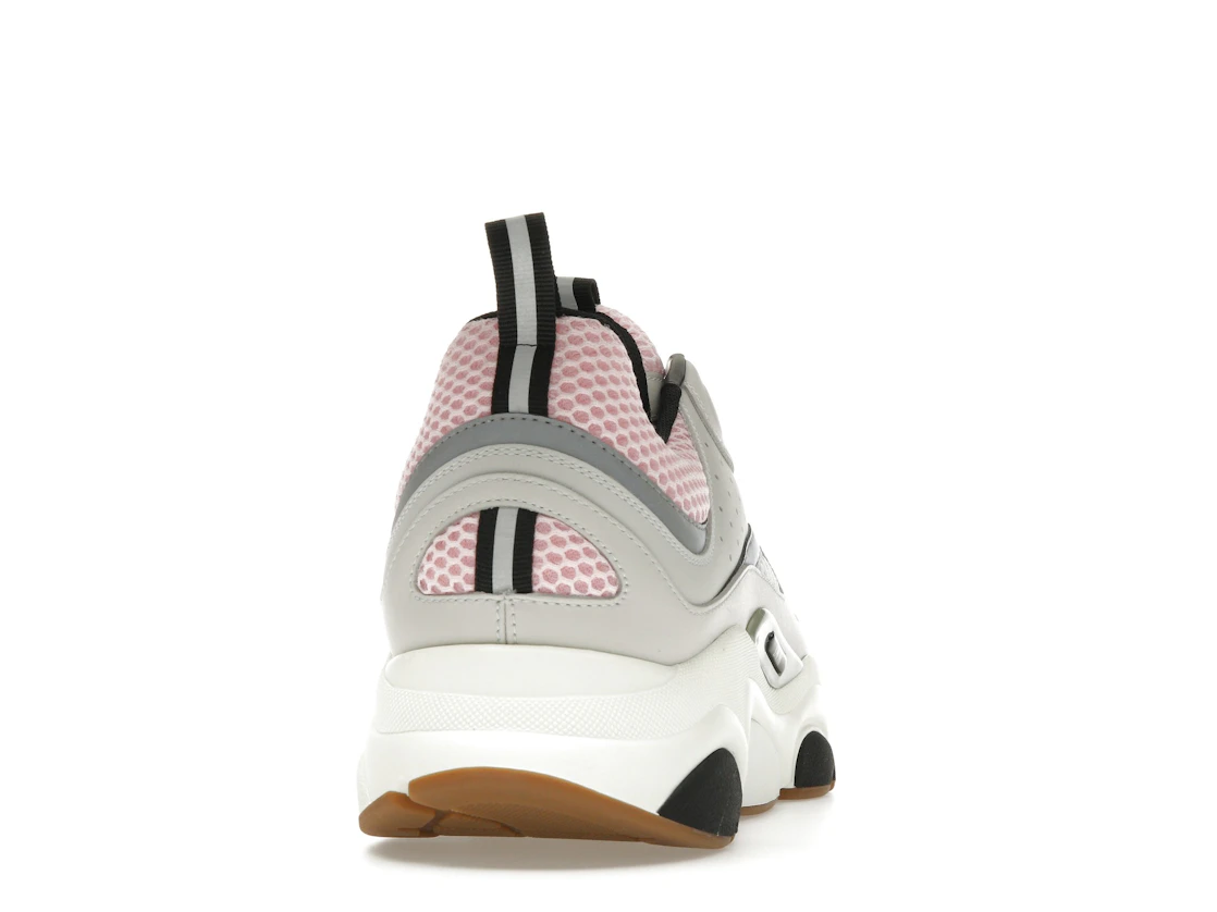 Vue 29 de Dior B22 Pale Pink Grey