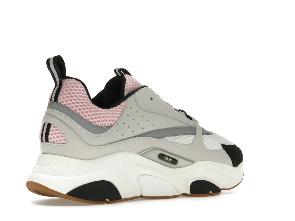 Vue 33 de Dior B22 Pale Pink Grey