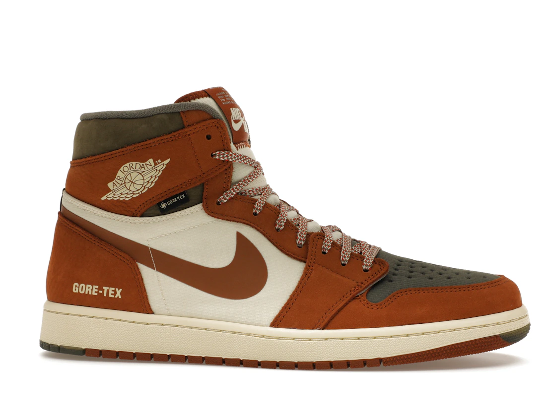 Vue 2 de Jordan 1 Retro High Element Gore-Tex Legend Coffee
