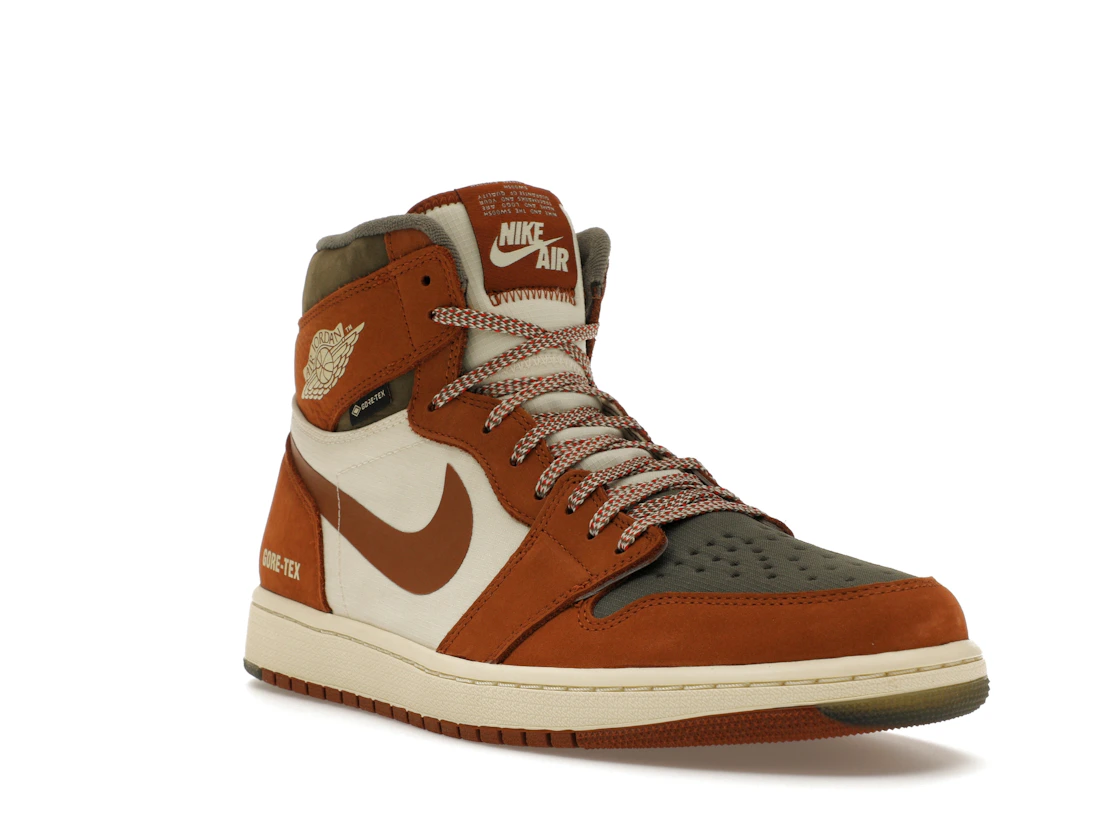 Vue 6 de Jordan 1 Retro High Element Gore-Tex Legend Coffee