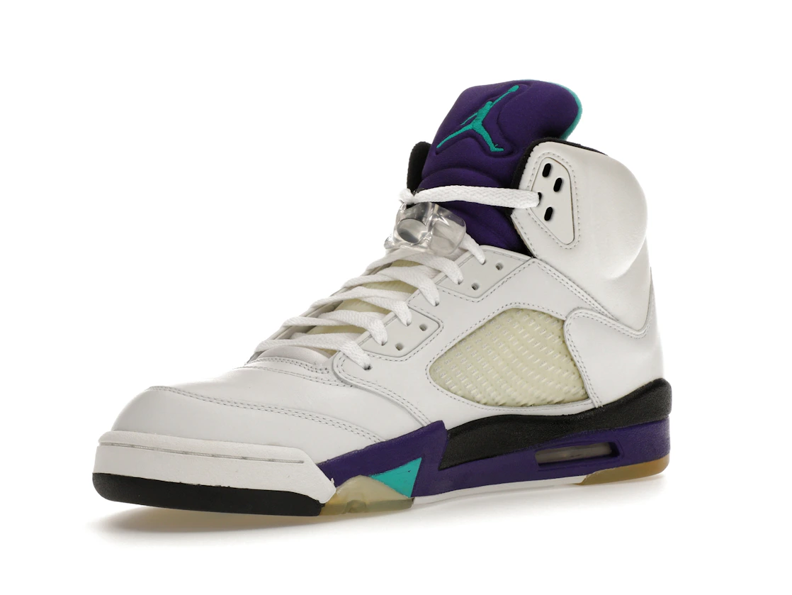 Vue 15 de Jordan 5 Retro Grape (2006)