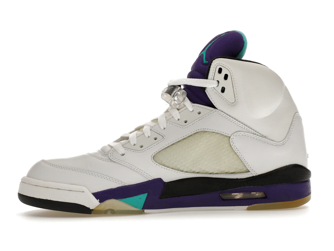 Vue 18 de Jordan 5 Retro Grape (2006)