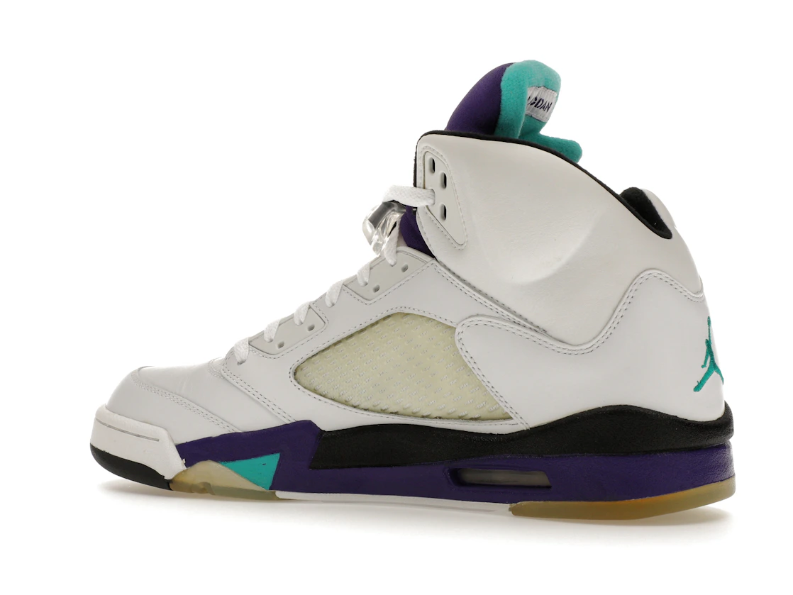 Vue 22 de Jordan 5 Retro Grape (2006)
