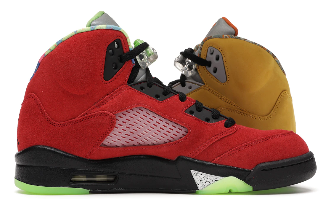 Vue 19 de Jordan 5 Retro What The