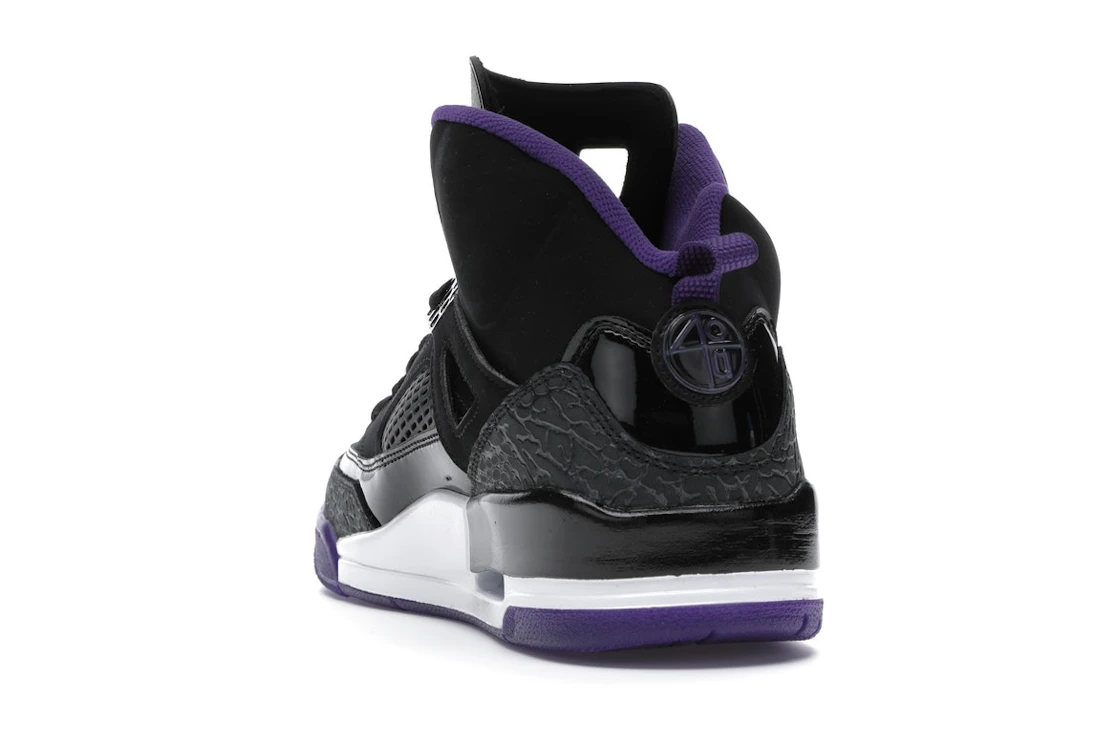 Vue 26 de Jordan Spizike Black Court Purple
