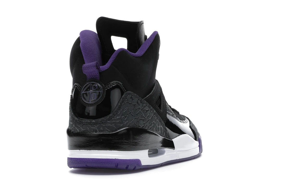 Vue 30 de Jordan Spizike Black Court Purple