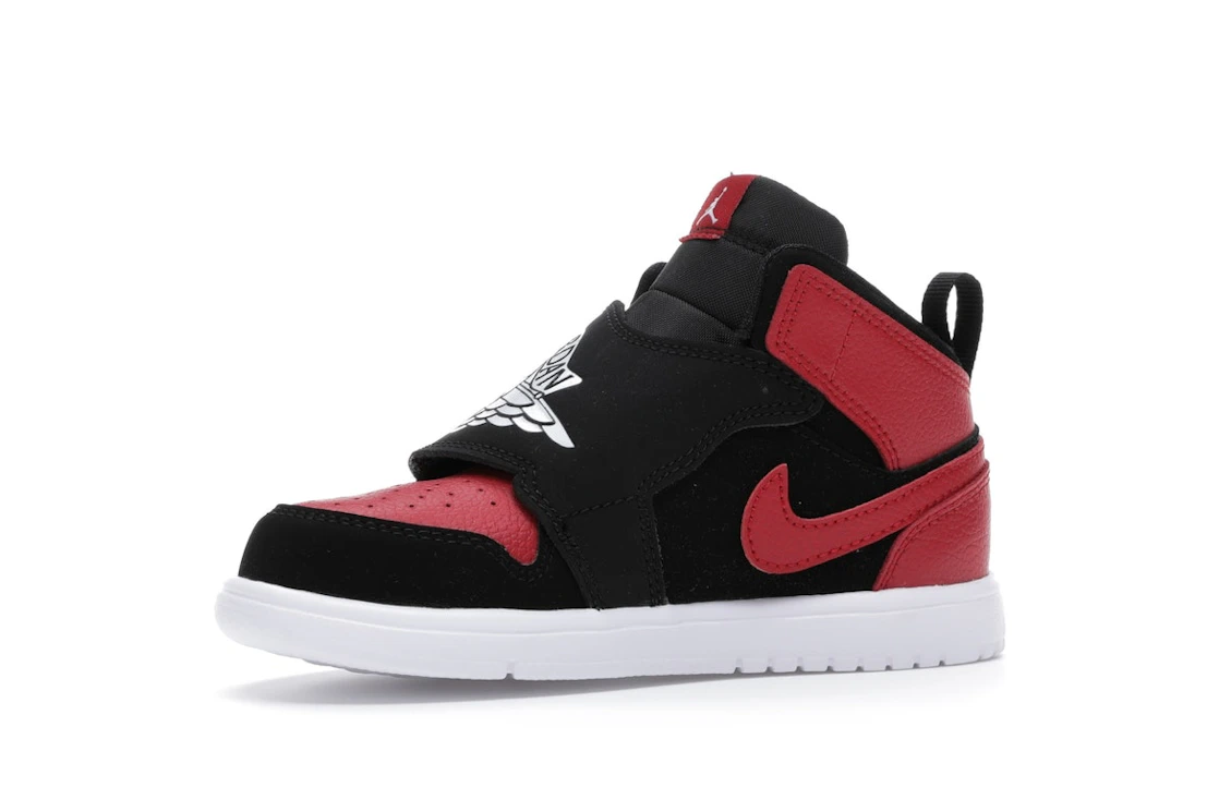 Vue 16 de Sky Jordan 1 Bred (TD)