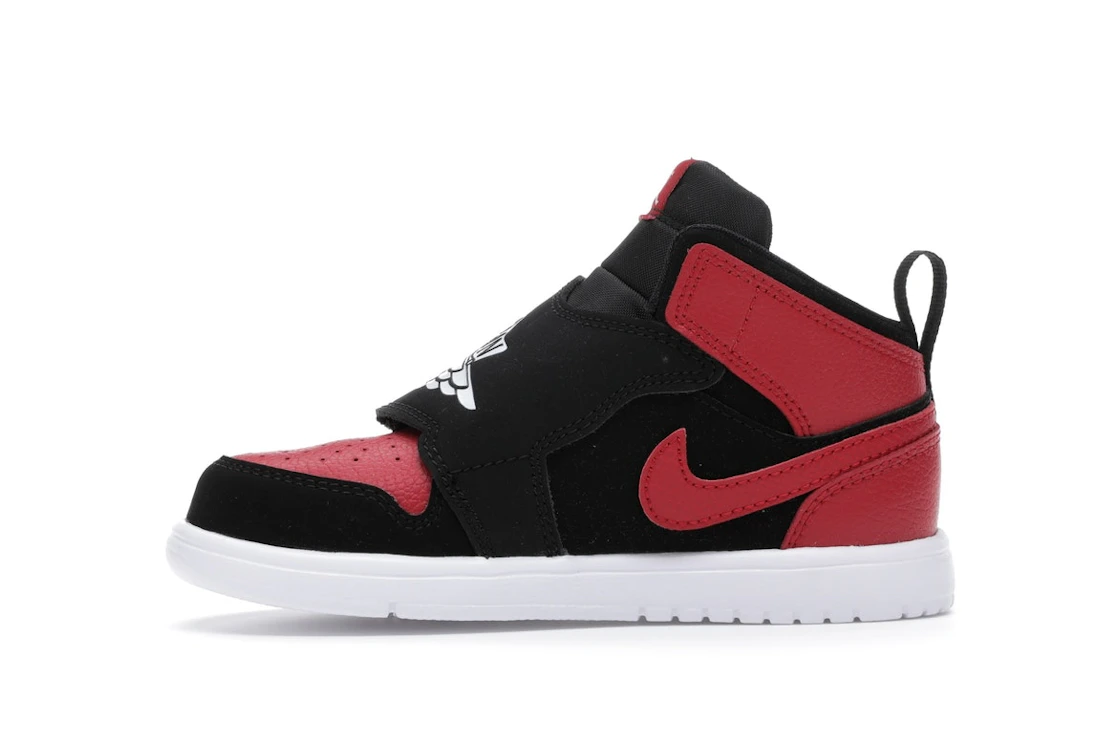 Vue 18 de Sky Jordan 1 Bred (TD)