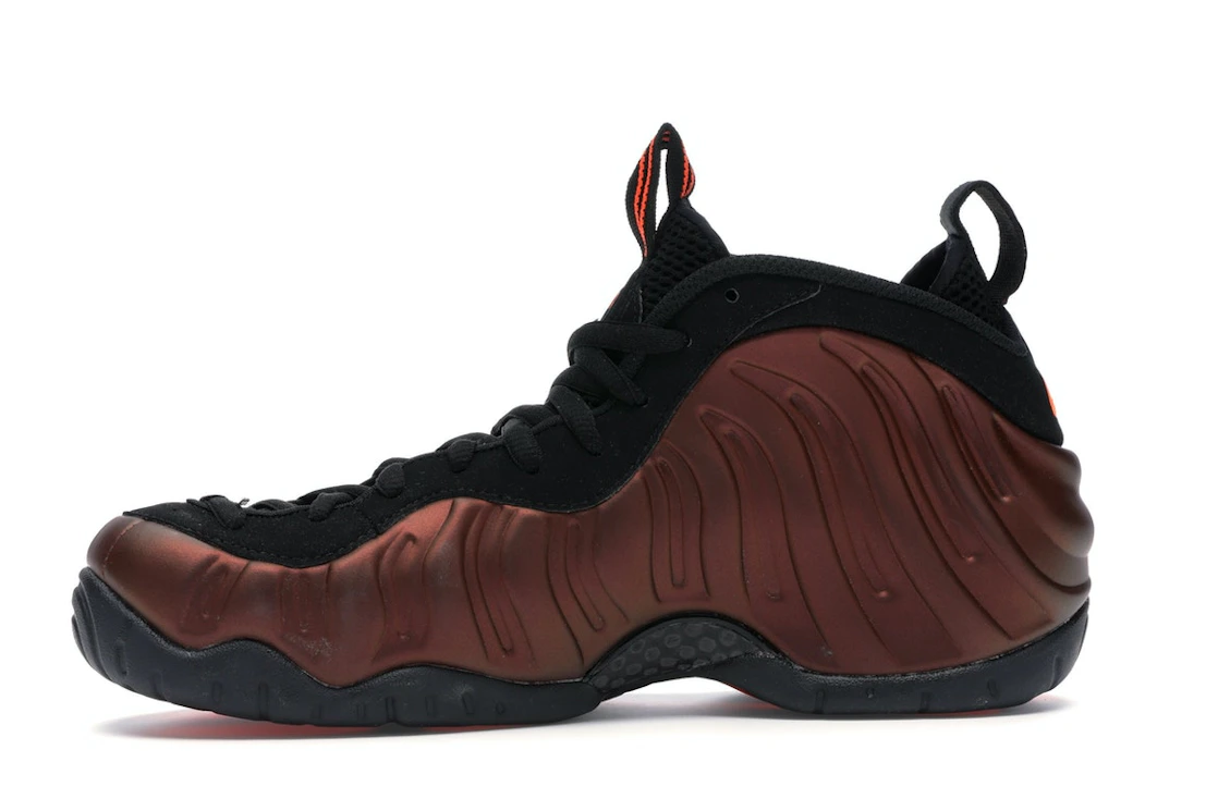 Vue 18 de Nike Air Foamposite Pro Color Shift
