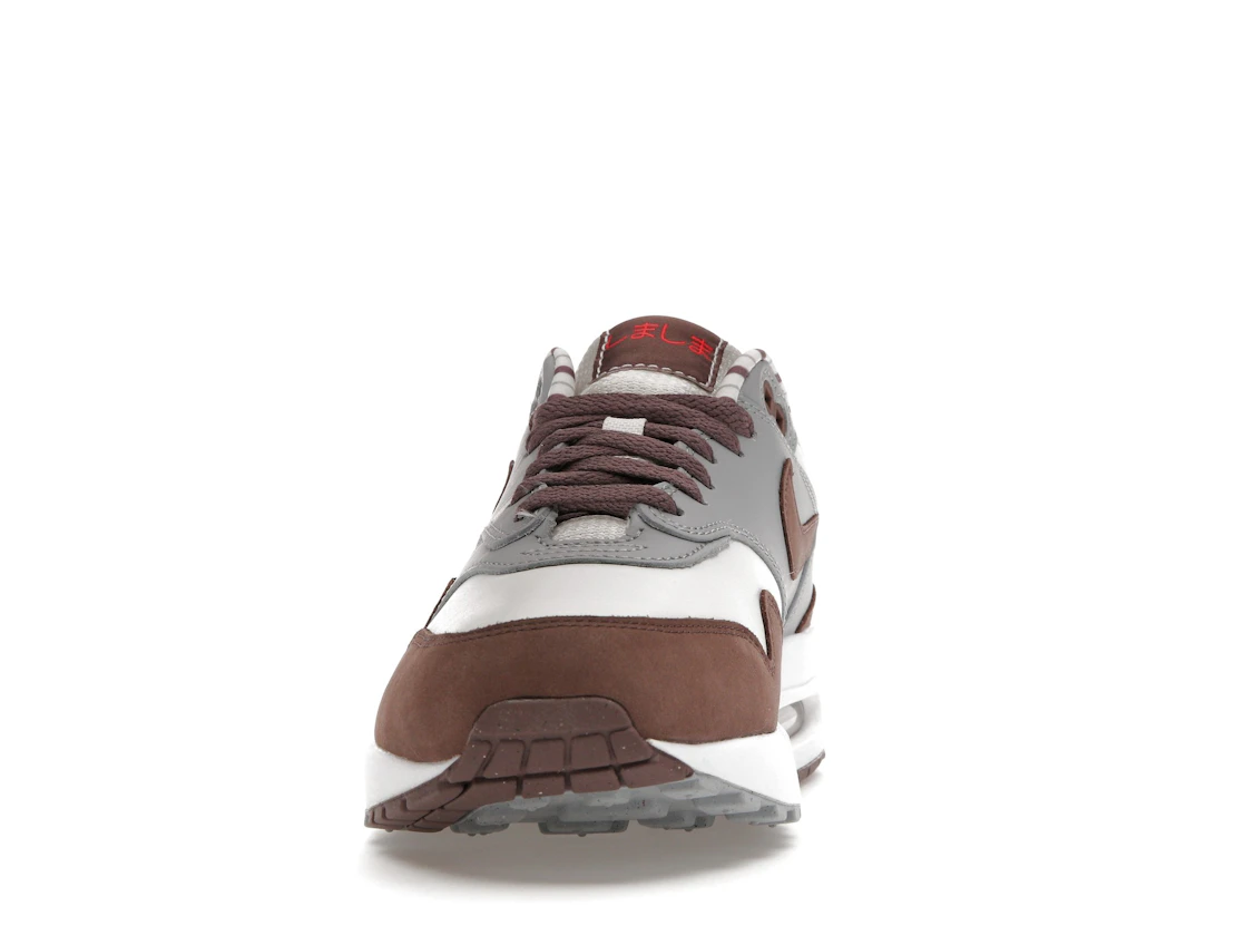 Vue 11 de Nike Air Max 1 Premium Shima Shima (2023)