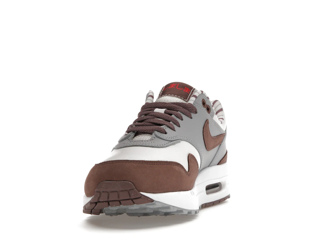 Vue 12 de Nike Air Max 1 Premium Shima Shima (2023)