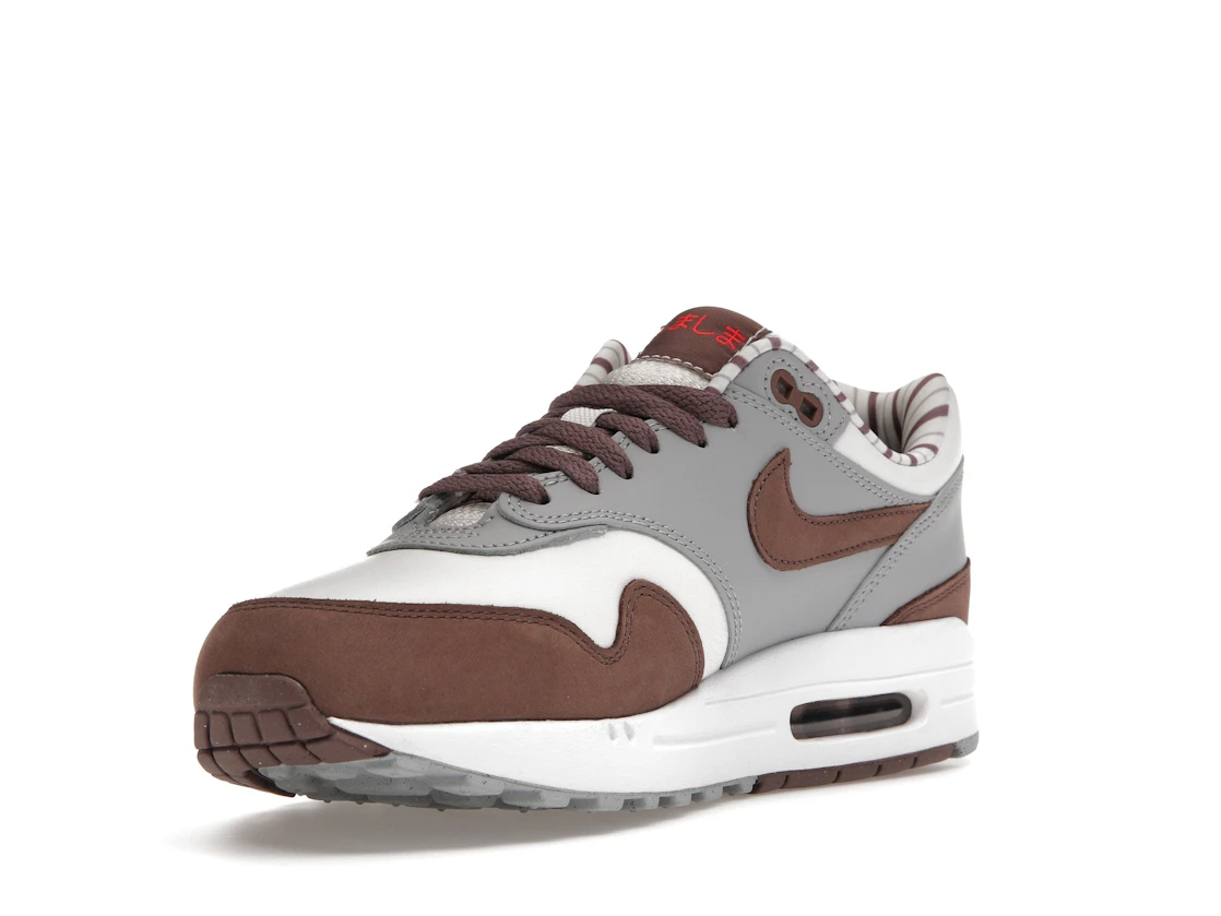 Vue 14 de Nike Air Max 1 Premium Shima Shima (2023)