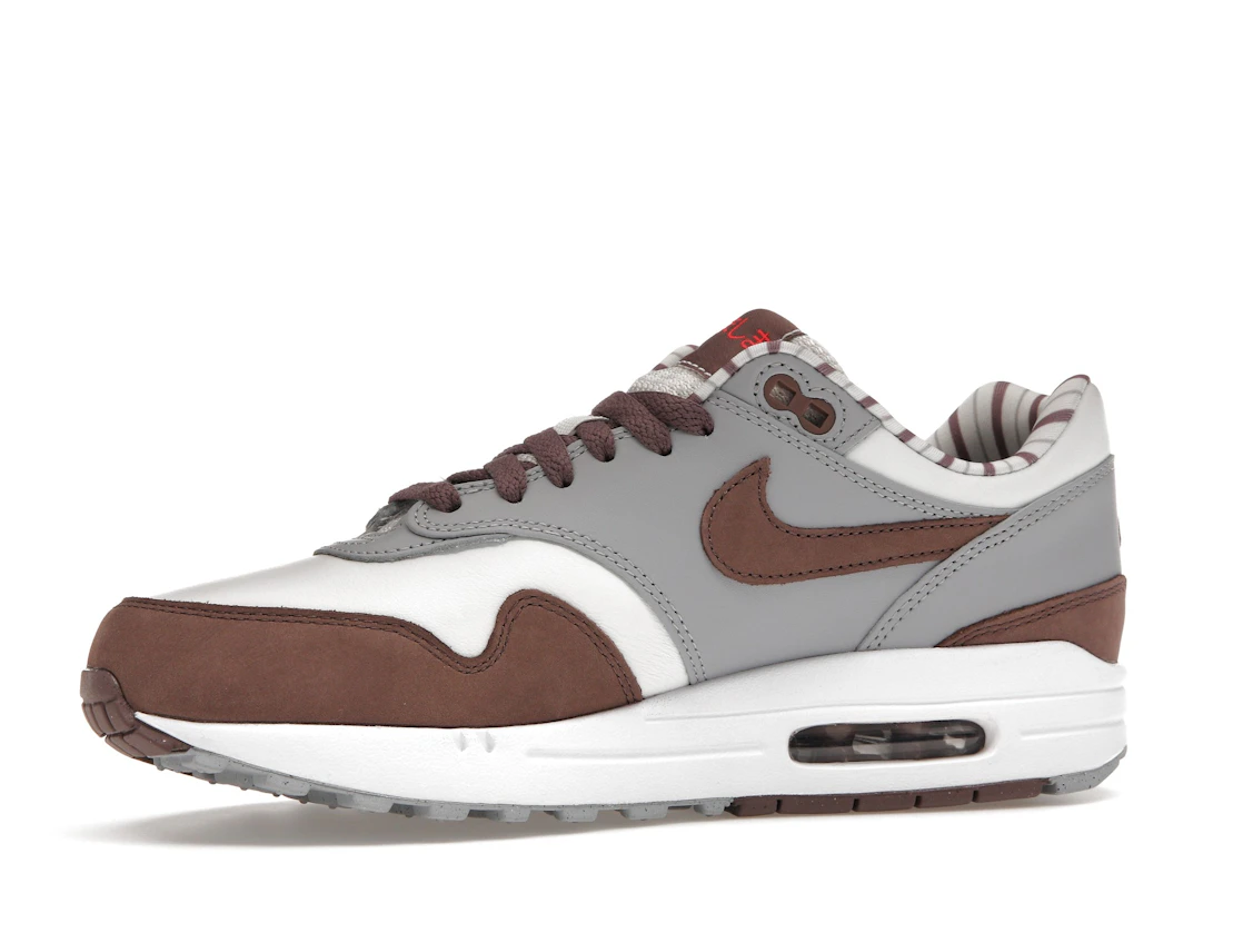 Vue 17 de Nike Air Max 1 Premium Shima Shima (2023)