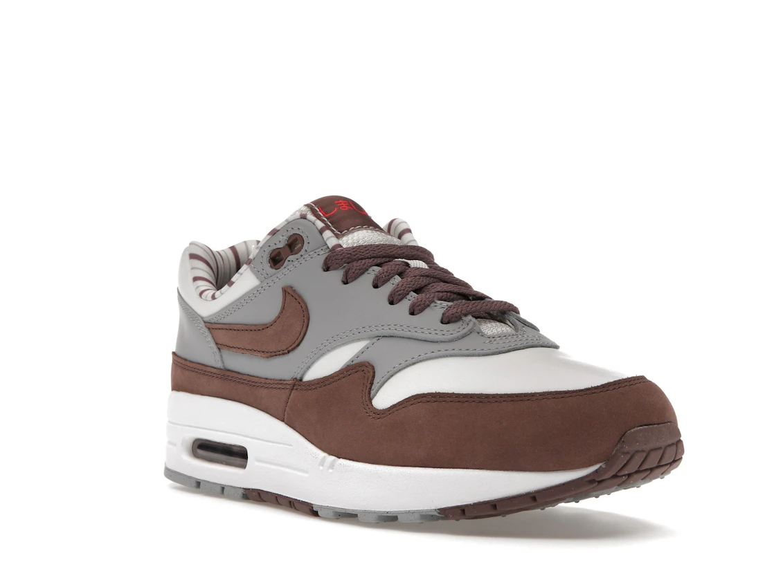 Vue 6 de Nike Air Max 1 Premium Shima Shima (2023)