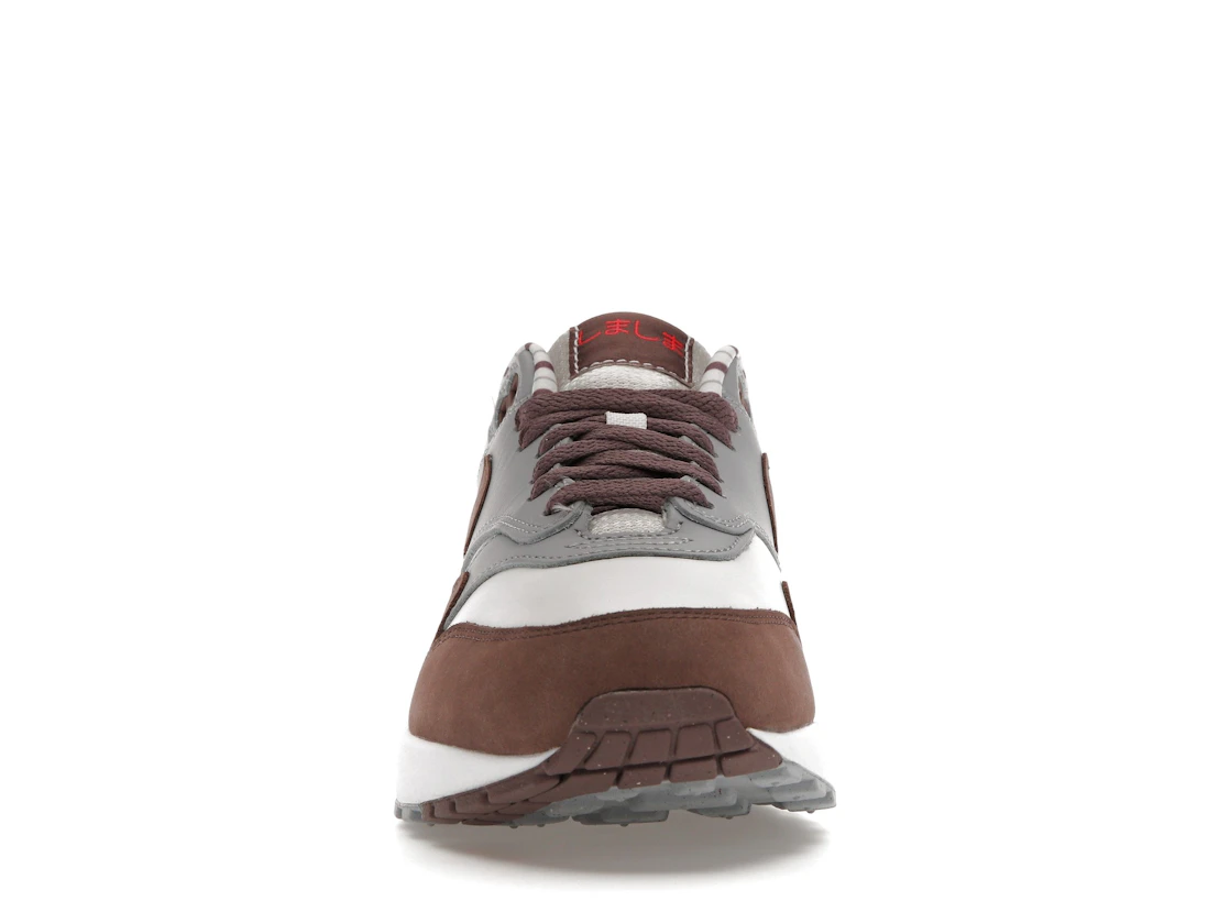 Vue 10 de Nike Air Max 1 Premium Shima Shima (2023)