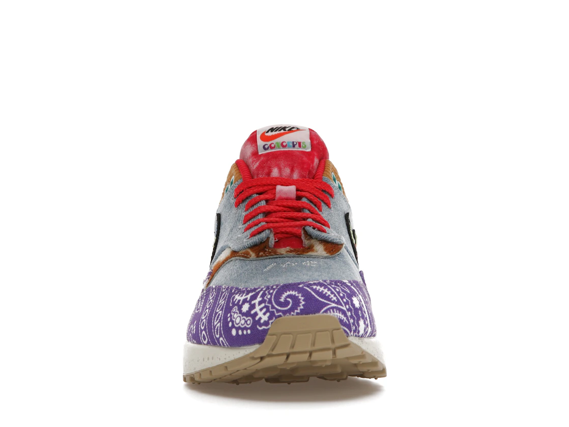 Vue 10 de Nike Air Max 1 SP Concepts Far Out (Regular Box)