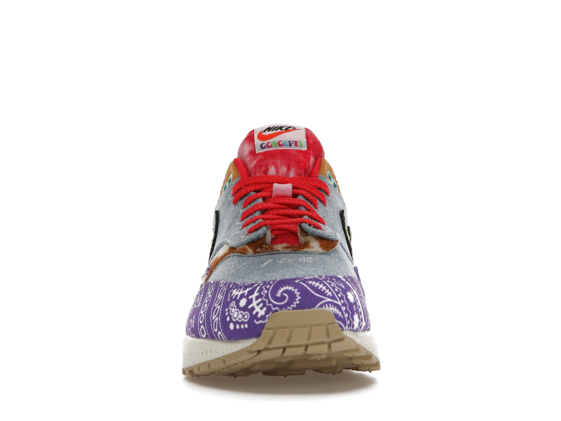 Vue 10 de Nike Air Max 1 SP Concepts Far Out (Special Box)