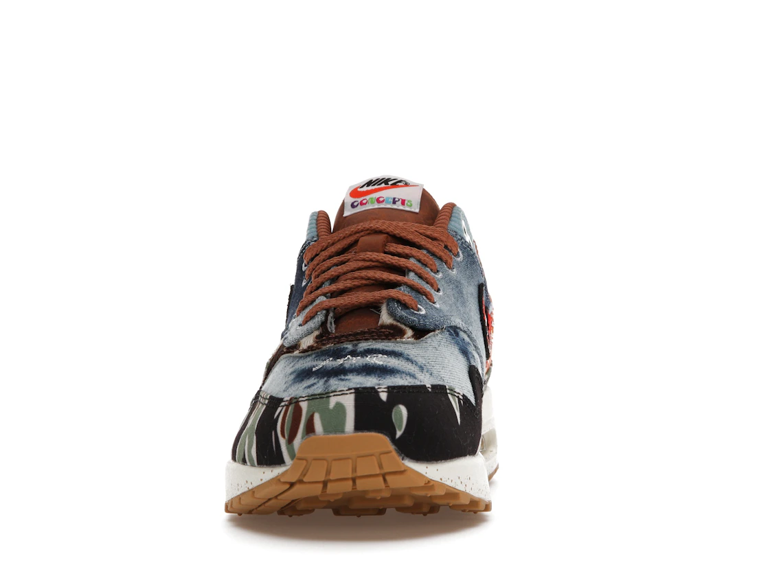 Vue 11 de Nike Air Max 1 SP Concepts Heavy