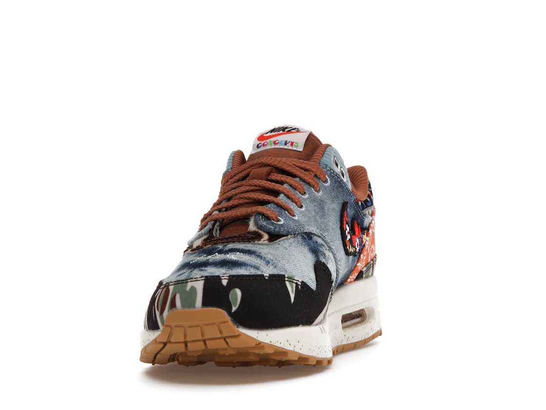 Vue 12 de Nike Air Max 1 SP Concepts Heavy