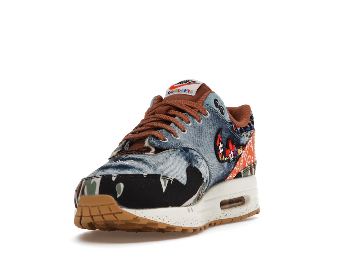 Vue 13 de Nike Air Max 1 SP Concepts Heavy