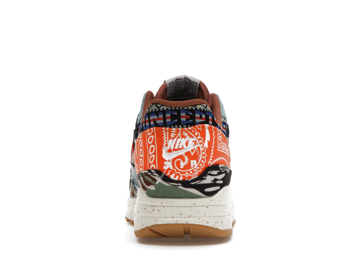 Vue 28 de Nike Air Max 1 SP Concepts Heavy