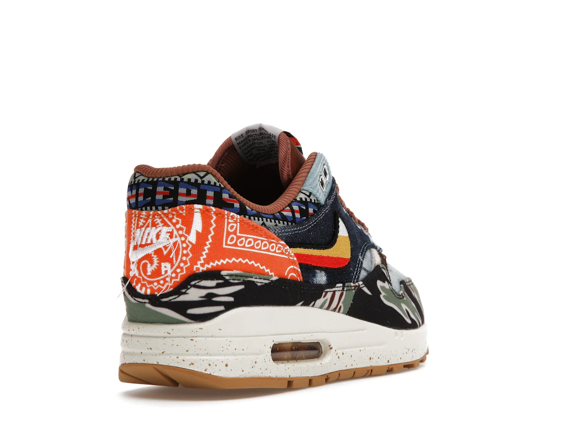 Vue 31 de Nike Air Max 1 SP Concepts Heavy