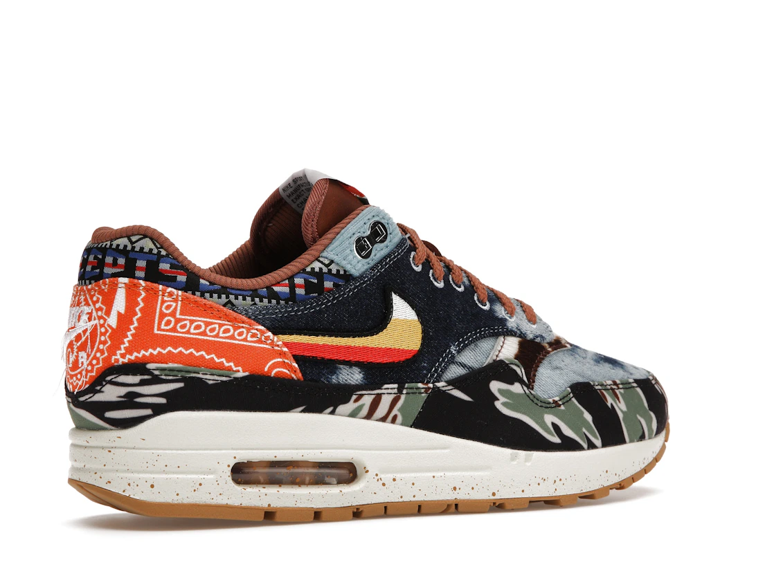 Vue 34 de Nike Air Max 1 SP Concepts Heavy