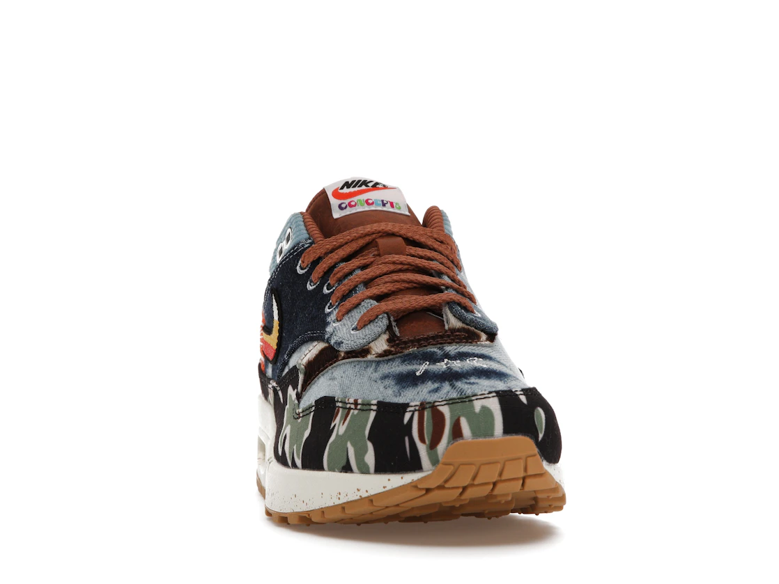 Vue 9 de Nike Air Max 1 SP Concepts Heavy