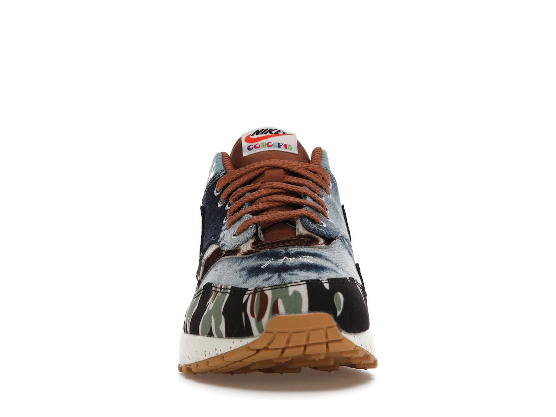 Vue 10 de Nike Air Max 1 SP Concepts Heavy