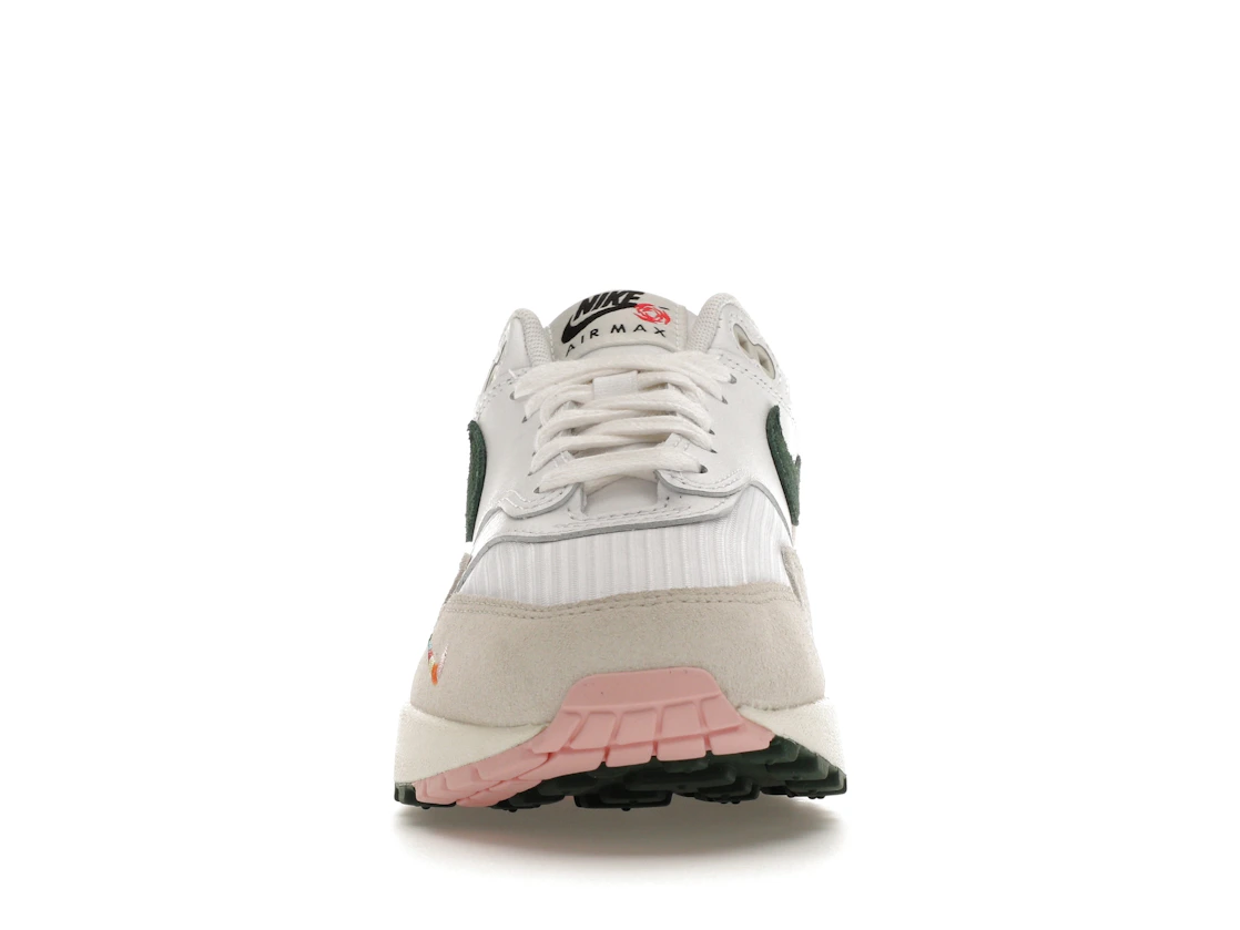 Vue 10 de Nike Air Max 1 All Petals United 