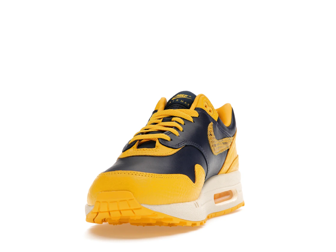 Vue 12 de Nike Air Max 1 CO.JP Michigan Head to Head 