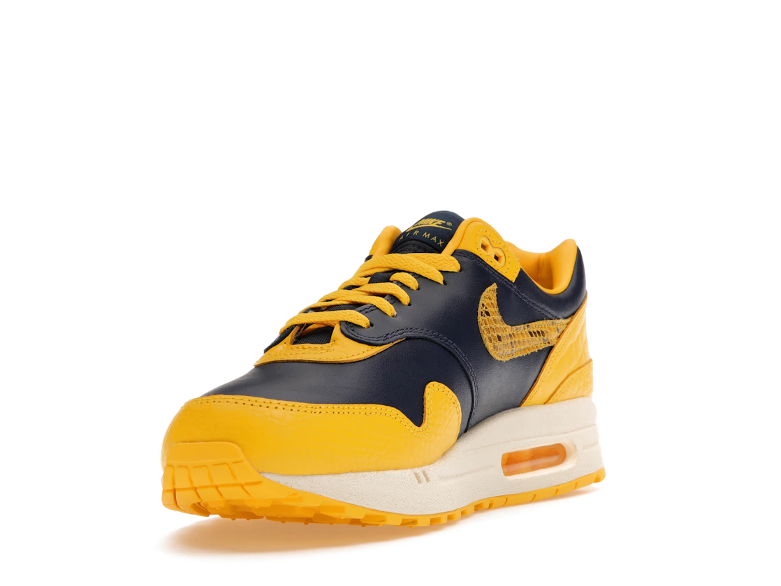 Vue 13 de Nike Air Max 1 CO.JP Michigan Head to Head 