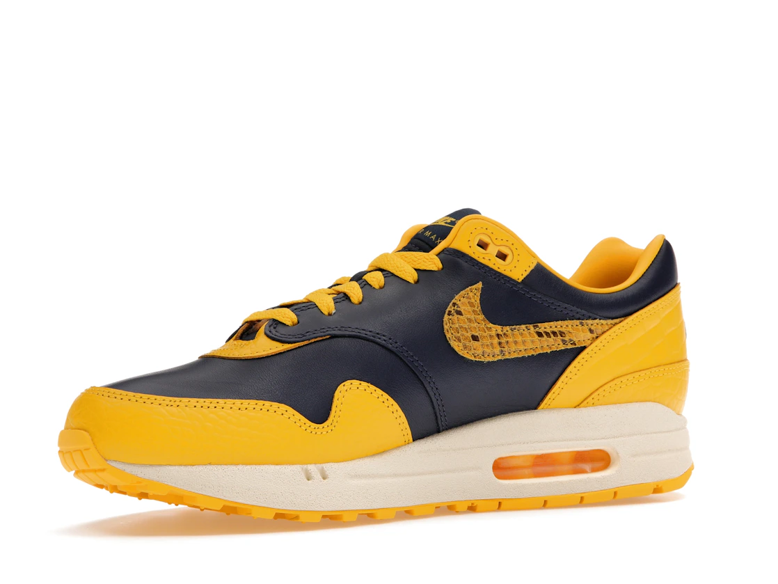 Vue 16 de Nike Air Max 1 CO.JP Michigan Head to Head 