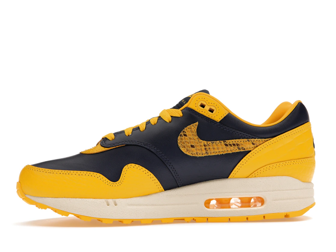 Vue 18 de Nike Air Max 1 CO.JP Michigan Head to Head 