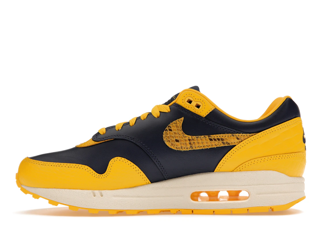 Vue 19 de Nike Air Max 1 CO.JP Michigan Head to Head 