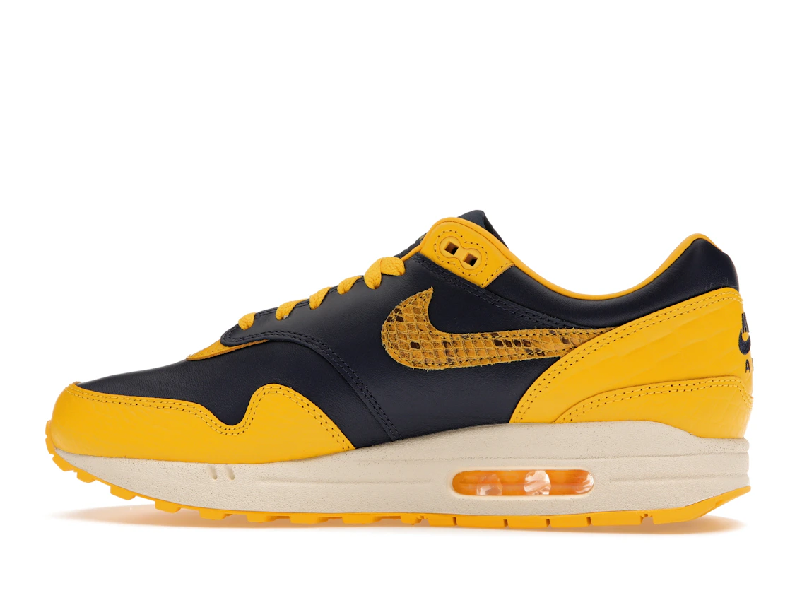 Vue 20 de Nike Air Max 1 CO.JP Michigan Head to Head 