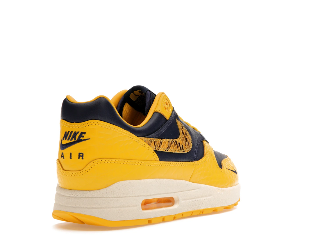 Vue 31 de Nike Air Max 1 CO.JP Michigan Head to Head 