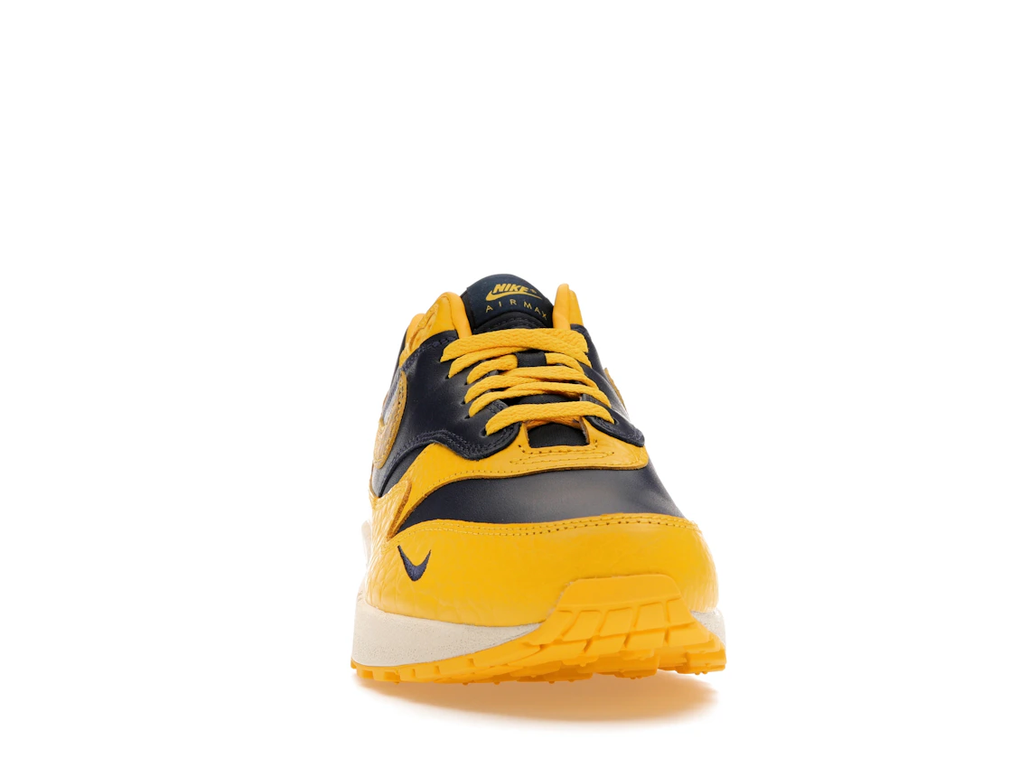 Vue 9 de Nike Air Max 1 CO.JP Michigan Head to Head 