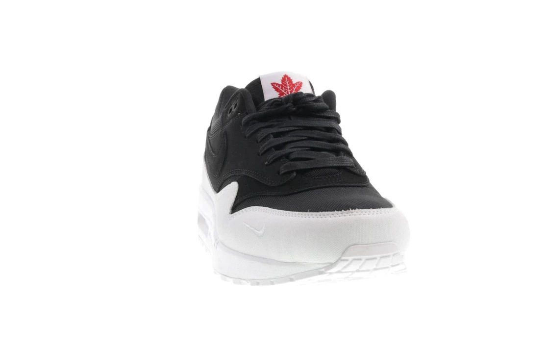 Vue 9 de Nike Air Max 1 Canada the 6