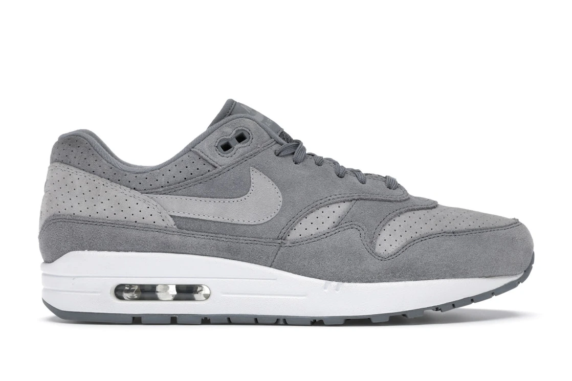 Vue 1 de Nike Air Max 1 Cool Grey Wolf Grey