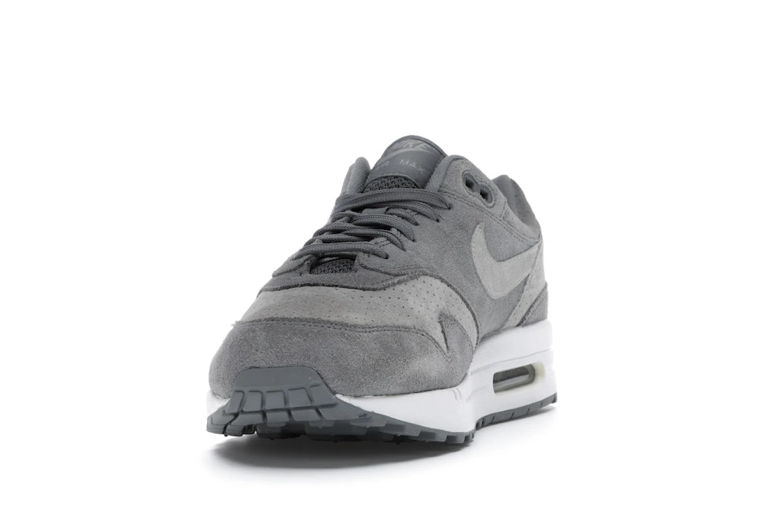 Vue 12 de Nike Air Max 1 Cool Grey Wolf Grey
