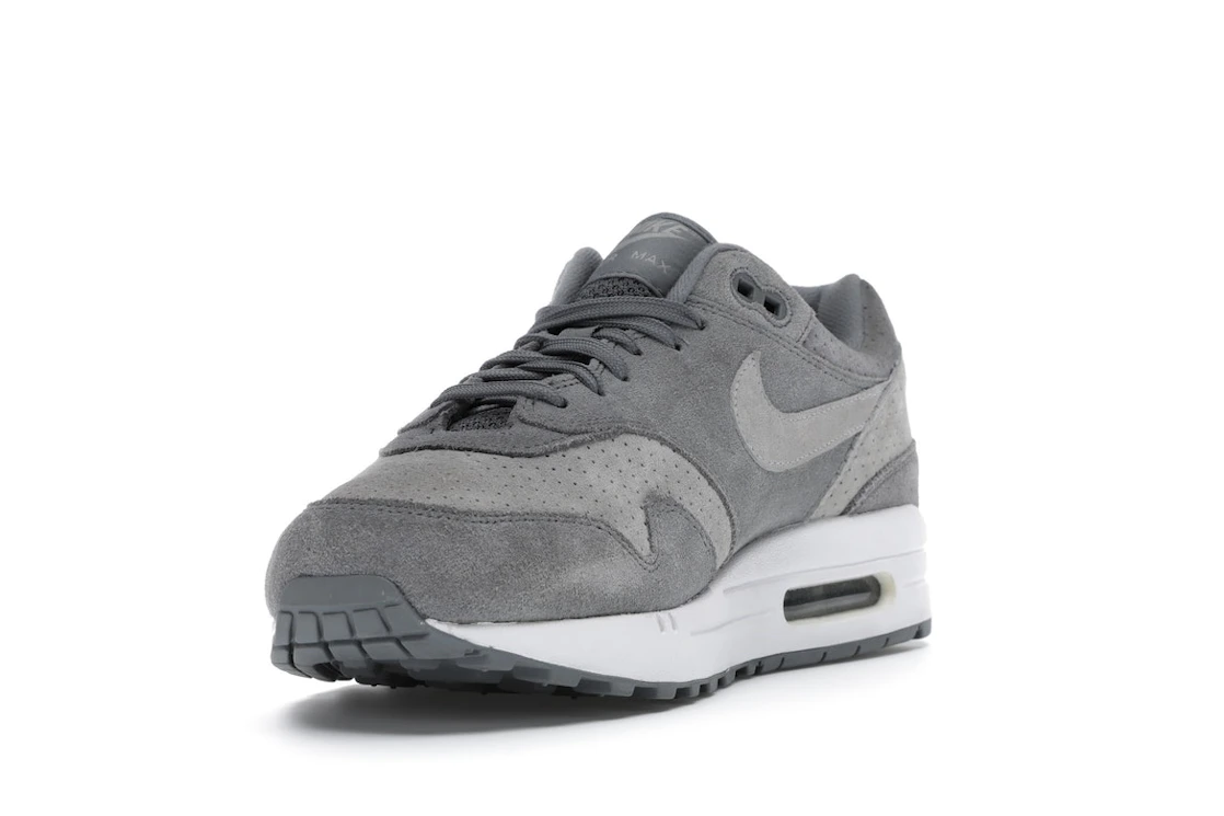 Vue 13 de Nike Air Max 1 Cool Grey Wolf Grey