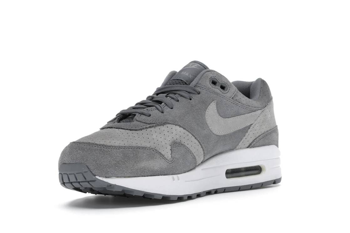 Vue 14 de Nike Air Max 1 Cool Grey Wolf Grey