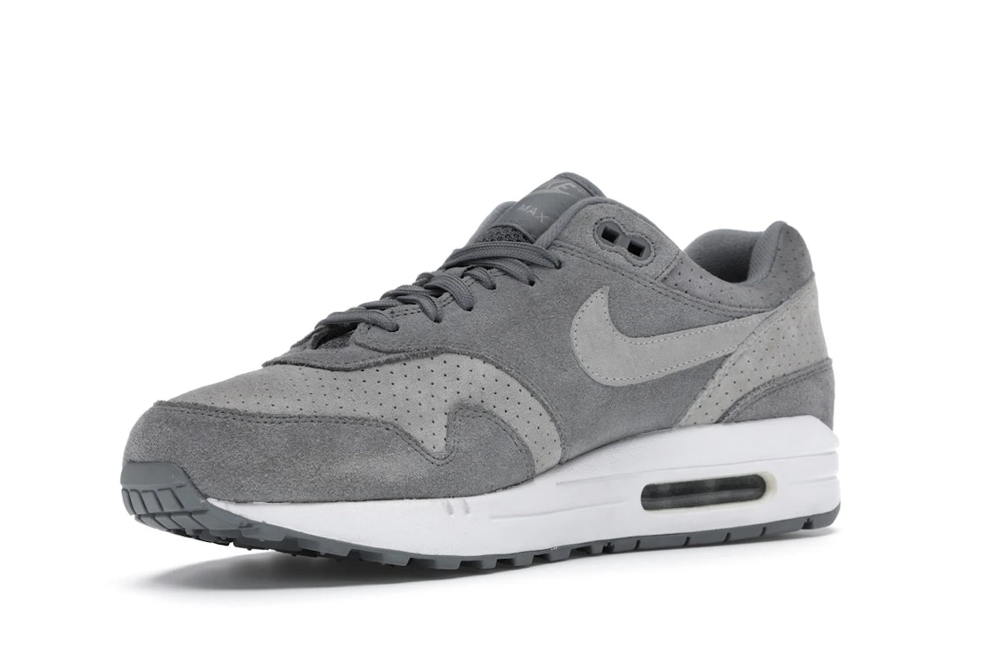 Vue 15 de Nike Air Max 1 Cool Grey Wolf Grey