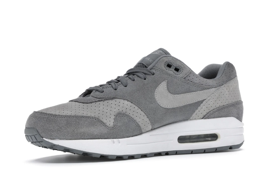 Vue 16 de Nike Air Max 1 Cool Grey Wolf Grey