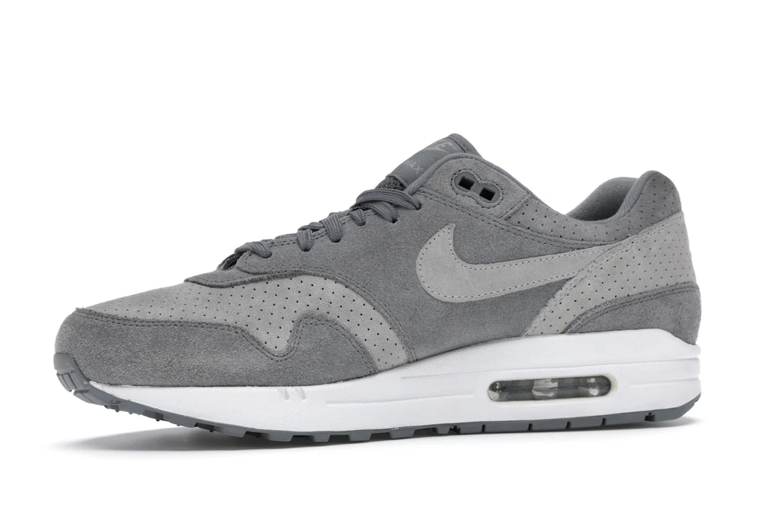 Vue 17 de Nike Air Max 1 Cool Grey Wolf Grey